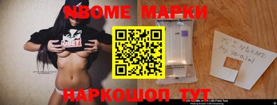 СК Новодвинск