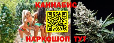 СК Новодвинск