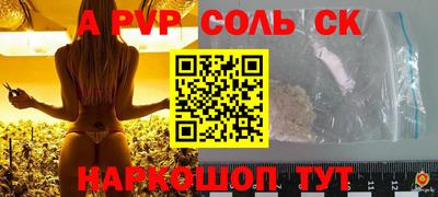 СК Новодвинск