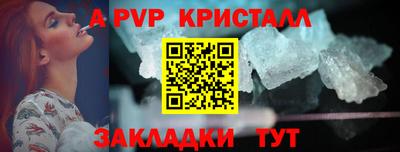 СК Новодвинск